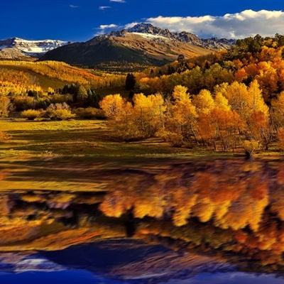 ayx体育在线登录下载手机版